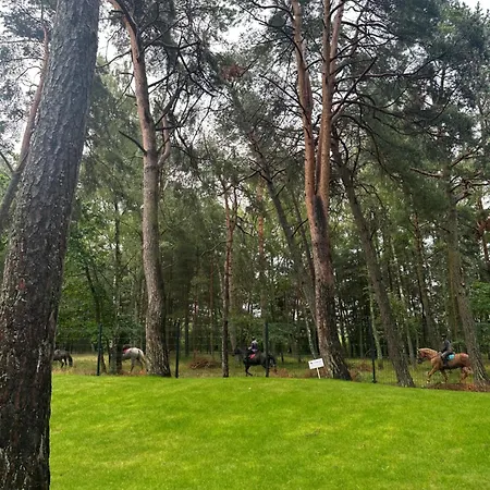 Blue Wave Appartement *